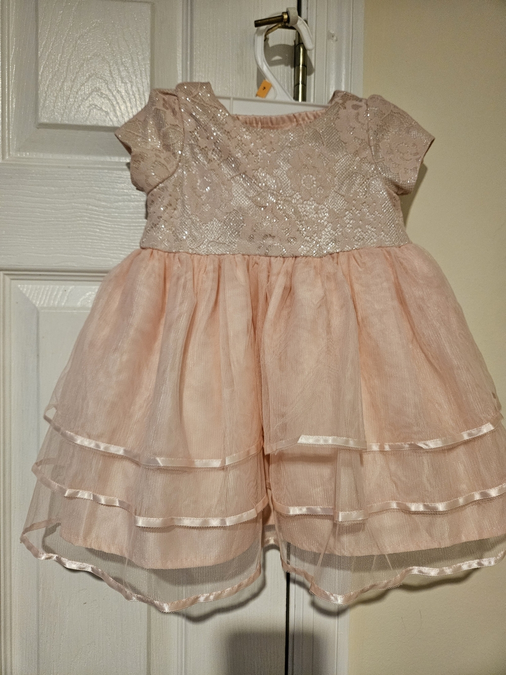 Biscotti Baby Pink Lace and Tulle Dress 12M